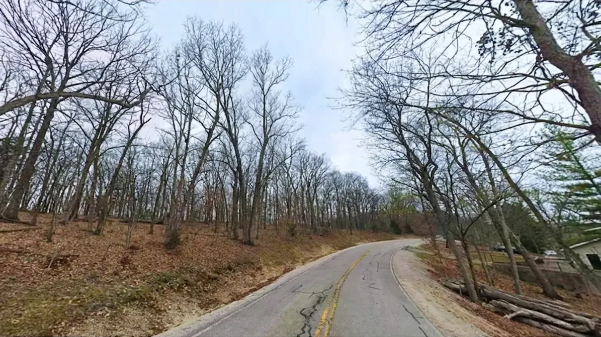 Wooded rise along the curve of Imperial Point Drive, neighbouring homes at the roadside