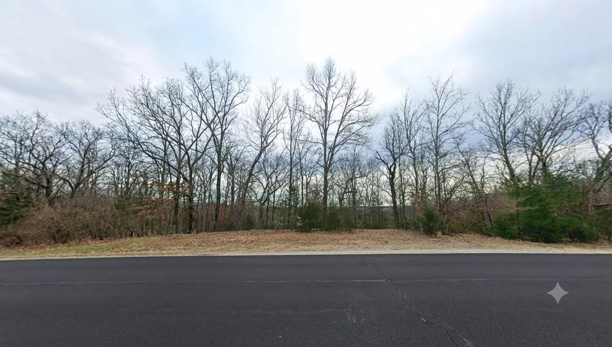Bare hardwoods and brush set back from the paved frontage at 434 Cherokee Road