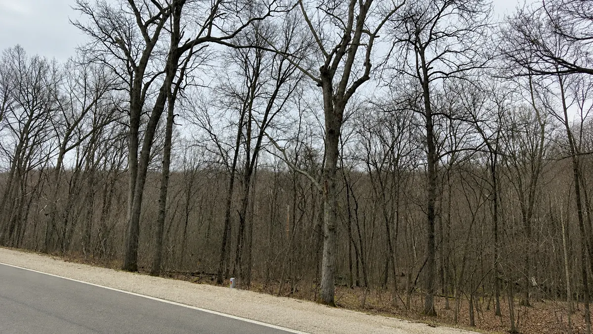 Bare hardwoods set back from the paved road frontage at 160 Nassau Circle, utility marker at the shoulder