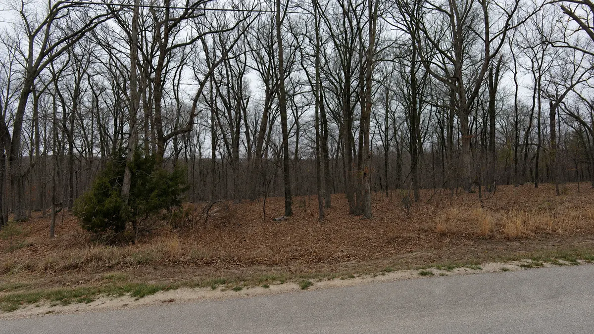 Leaf-covered wooded ground rising from the road at 1070 Bittersweet Road, power line overhead