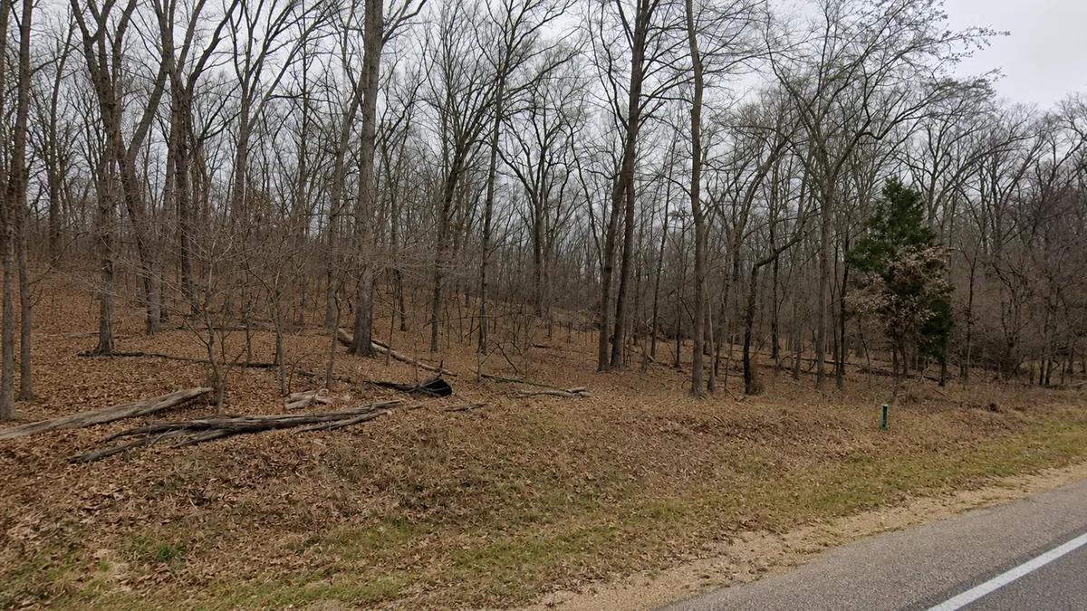 Wooded lot at 48 Newark Court, cedar at the roadside and a survey marker post