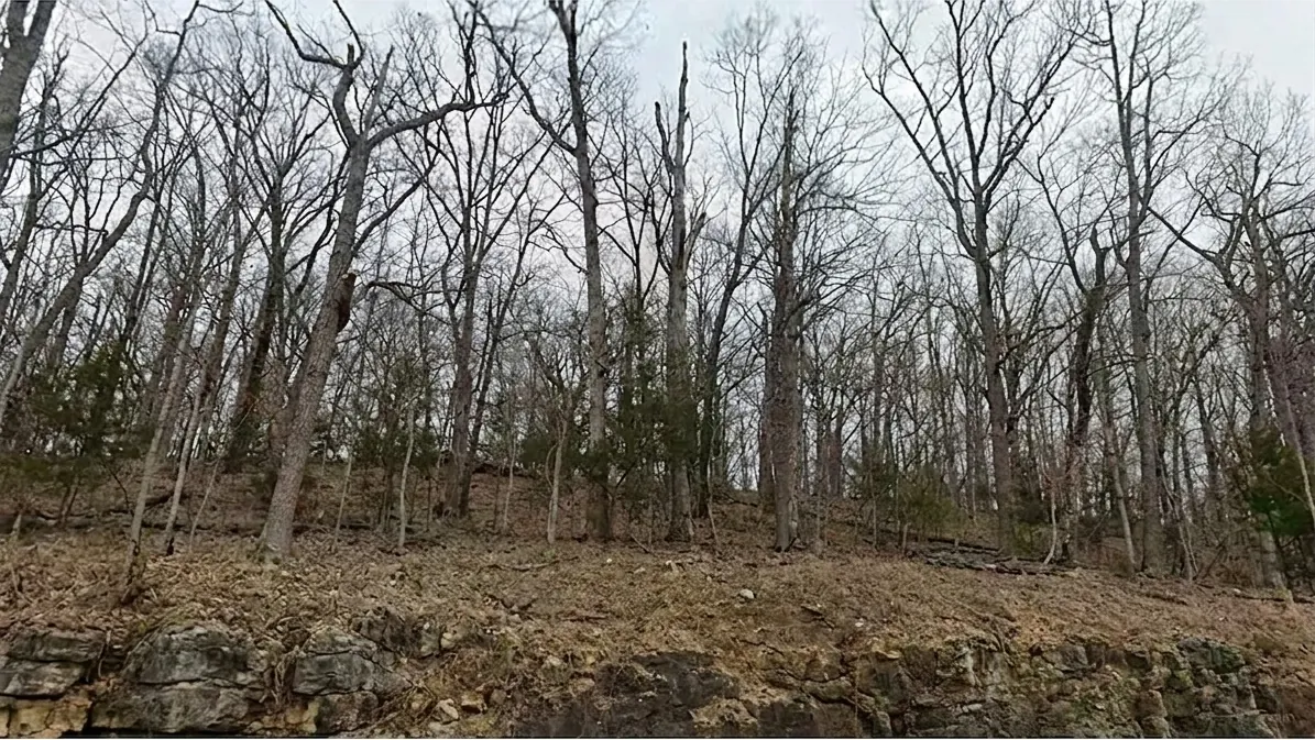 Wooded slope rising from a limestone rock ledge at 1405 Sweetwater Drive